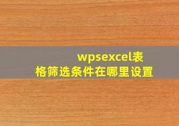 wpsexcel表格筛选条件在哪里设置