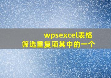 wpsexcel表格筛选重复项其中的一个