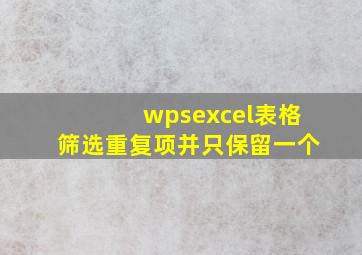 wpsexcel表格筛选重复项并只保留一个