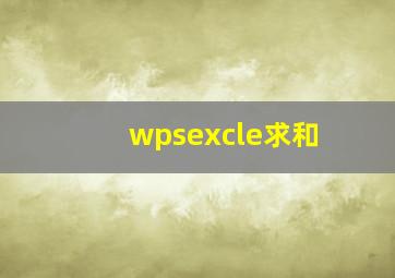 wpsexcle求和