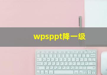 wpsppt降一级