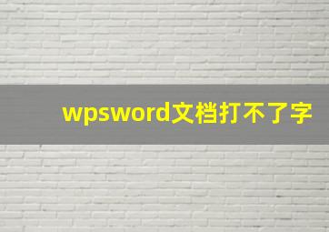 wpsword文档打不了字