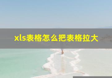 xls表格怎么把表格拉大