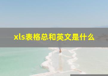 xls表格总和英文是什么