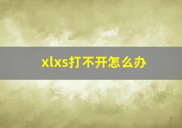 xlxs打不开怎么办