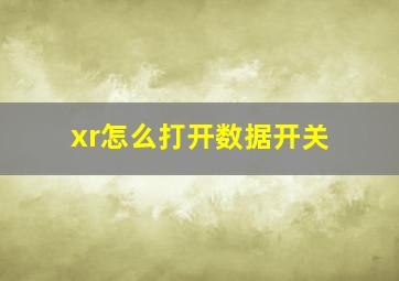 xr怎么打开数据开关