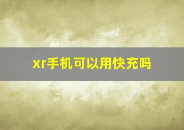 xr手机可以用快充吗