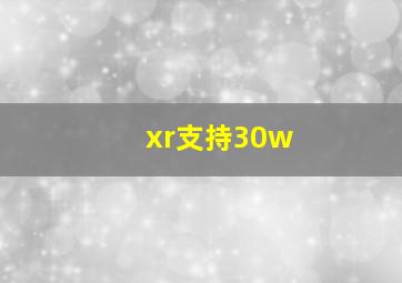 xr支持30w