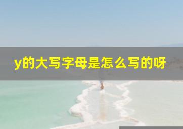 y的大写字母是怎么写的呀