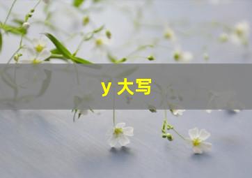 y 大写