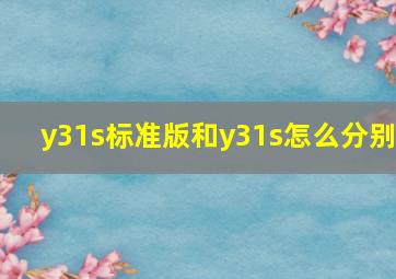 y31s标准版和y31s怎么分别