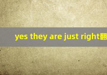 yes they are just right翻译