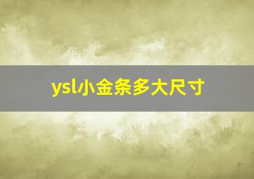 ysl小金条多大尺寸