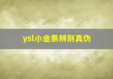 ysl小金条辨别真伪