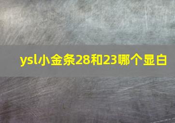 ysl小金条28和23哪个显白